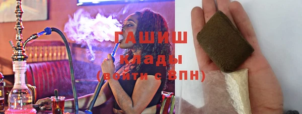 стаф Осинники
