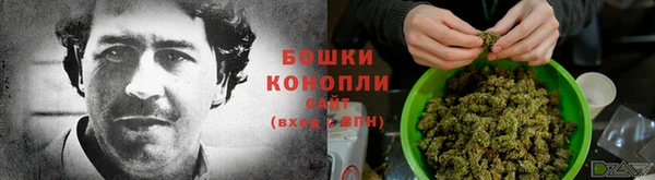 молекула духа Осташков