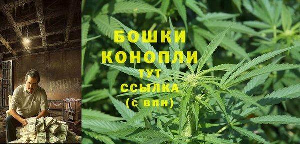 стаф Осинники