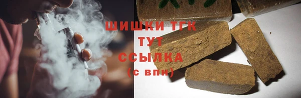 молекула духа Осташков