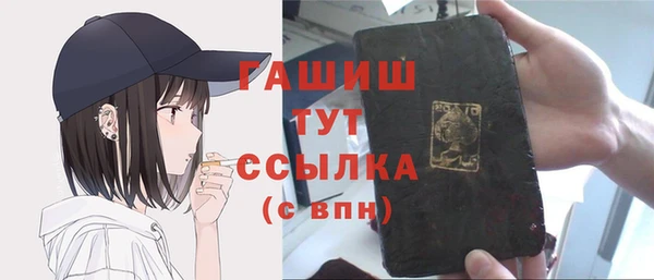 стаф Осинники