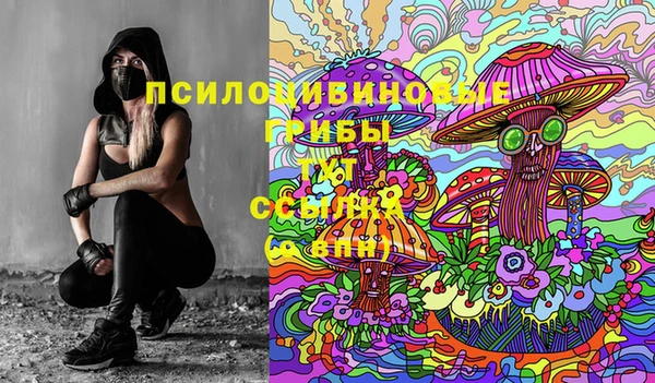 стаф Осинники