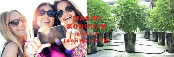 молекула духа Осташков