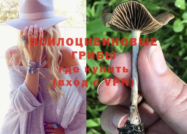 мяу мяу мука Нягань