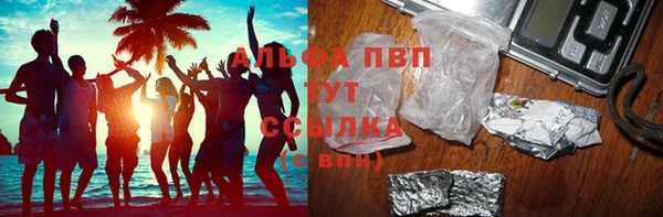 стаф Осинники