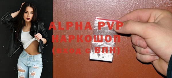 стаф Осинники
