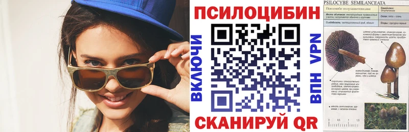Галлюциногенные грибы GOLDEN TEACHER  где купить наркотик  Крымск 
