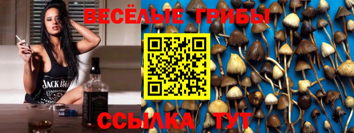 Галлюциногенные грибы Magic Shrooms  Вход с VPN  Крымск 